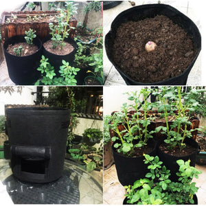 Home Garden Plant Growing Bags-Outdoor Accessories-Tupperware 4 Sale
