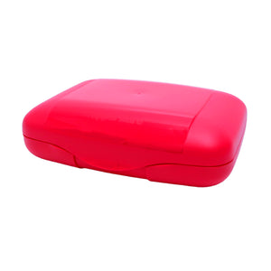 Tupperware Sandwich Clutch-Food Storage-Tupperware 4 Sale