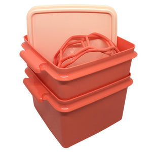 Tupperware Double Deep with Carolier - Pink | Picnic Lunch Box-Lunch Box-Tupperware 4 Sale