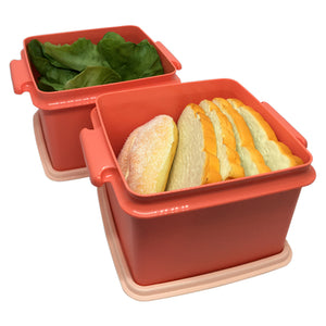 Tupperware Double Deep with Carolier - Pink | Picnic Lunch Box-Lunch Box-Tupperware 4 Sale